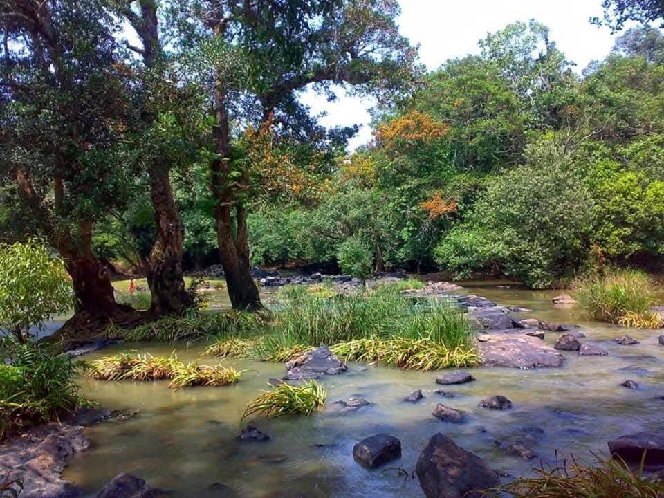 Happydays Hut Βίλα Mananthavady Εξωτερικό φωτογραφία